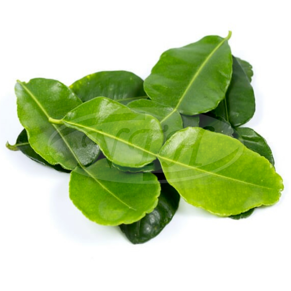 Lime Leaves/ Daun Limau